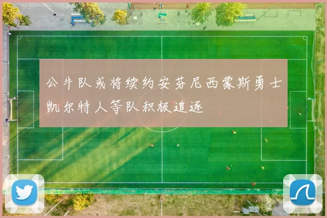 公牛队或将续约安芬尼西蒙斯勇士凯尔特人等队积极追逐
