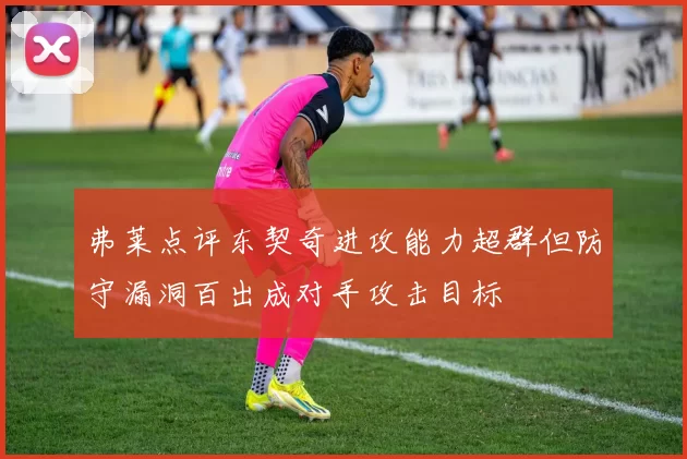 弗莱点评东契奇进攻能力超群但防守漏洞百出成对手攻击目标