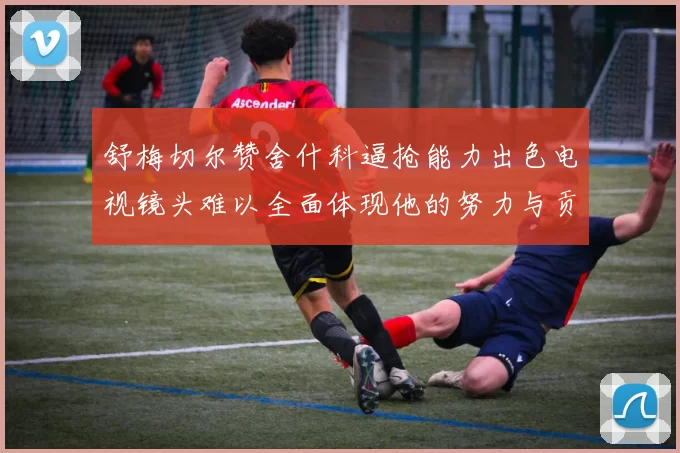舒梅切尔赞舍什科逼抢能力出色电视镜头难以全面体现他的努力与贡献