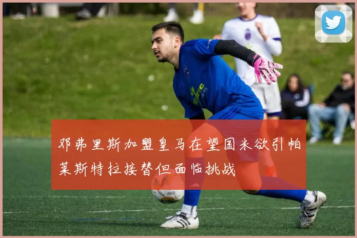 邓弗里斯加盟皇马在望国米欲引帕莱斯特拉接替但面临挑战